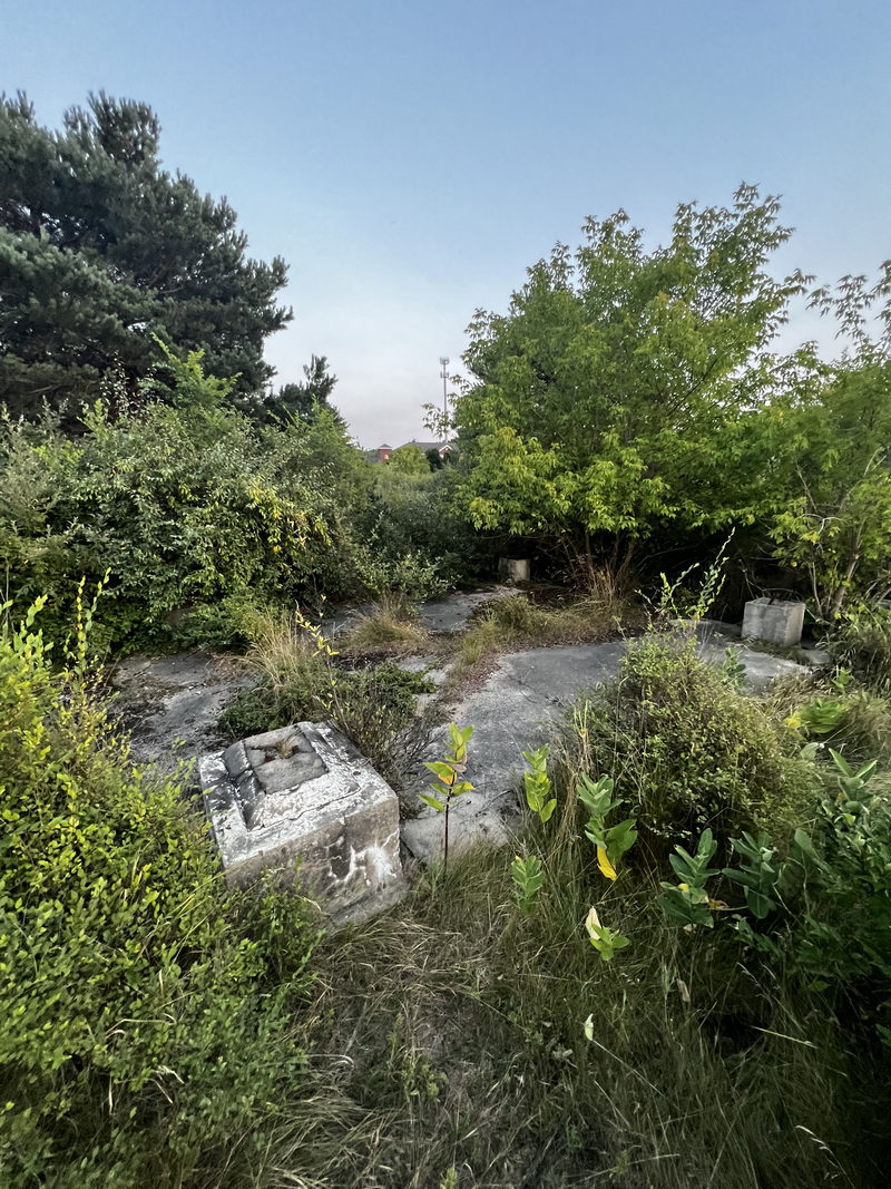 Traverse Drive-In Theatre - Aug 21 2024 (newer photo)
